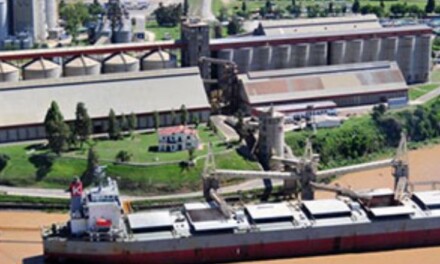 El ambicioso plan de las Fuerzas Armadas para construir un mega puerto comercial en un lugar estratégico en Santa Fe
