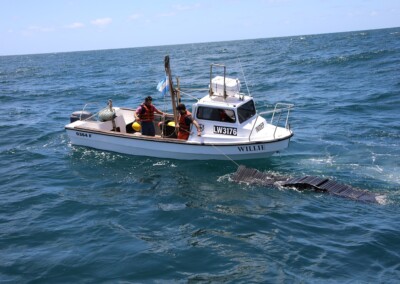 Imágenes satelitales para detectar plástico en la superficie del Mar Argentino