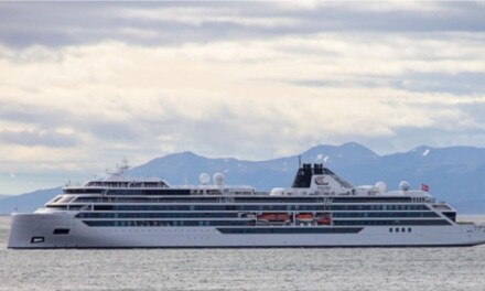 Tragedia en un crucero en el sur: ola gigante mató a una turista estadounidense