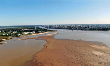 Gestión de riesgo para la bajante histórica del río Paraná