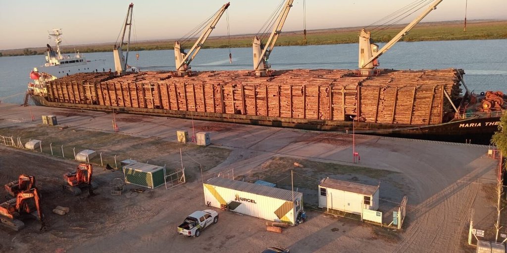 Dia récord para la exportación de madera desde Argentina y Uruguay con destino a India y China
