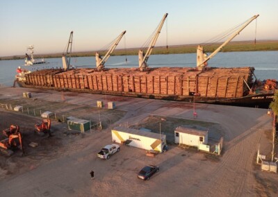 Dia récord para la exportación de madera desde Argentina y Uruguay con destino a India y China