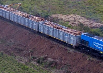 Otro año récord: 8.4 millones de toneladas transportadas por Trenes Cargas 