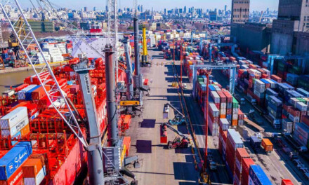 APM Terminals Buenos Aires: a partir de febrero se ingresará con un pase en formato digital