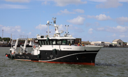 Nuevo relevamiento de langostino en el litoral norte de la provincia de Buenos Aires