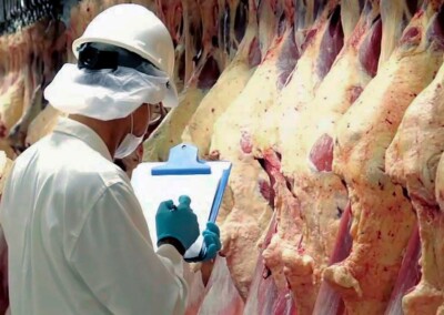 Exportación de carnes: Balance positivo para 2022, pero con grandes interrogantes