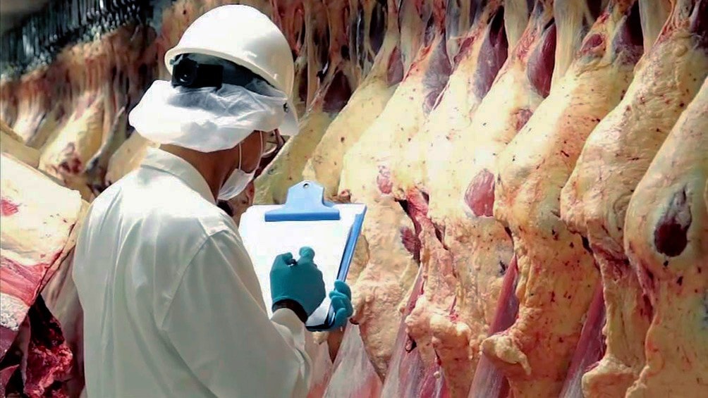 Exportación de carnes: Balance positivo para 2022, pero con grandes interrogantes