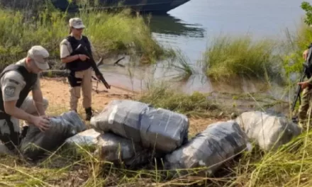 Prefectura decomisó millonario cargamento de marihuana en Corrientes