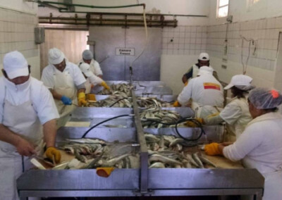China levanta suspensiones sobre establecimientos pesqueros argentinos