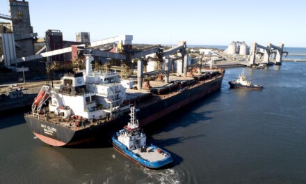 Puerto Quequén intensifica su operatoria: 35 buques en septiembre y semanas de alta rotación en octubre