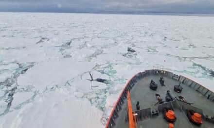 El rompehielos ARA “Almirante Irízar” logró atravesar el témpano A81