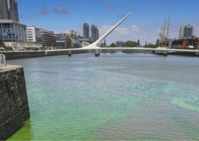 Alerta naranja por la presencia de cianobacterias en el río de La Plata