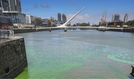 Alerta naranja por la presencia de cianobacterias en el río de La Plata