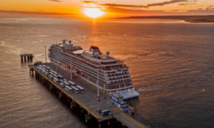 El Viking Jupiter amarró en Puerto Madryn después de haber parado en Mar del Plata por una emergencia a bordo