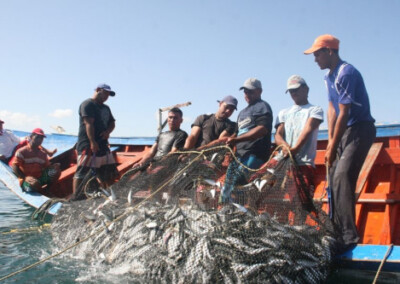 Fijan cupos máximos para la pesca de la corvina en el frente marítimo argentino-uruguayo