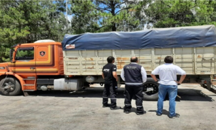 La AFIP incautó soja valuada en $4.5 millones