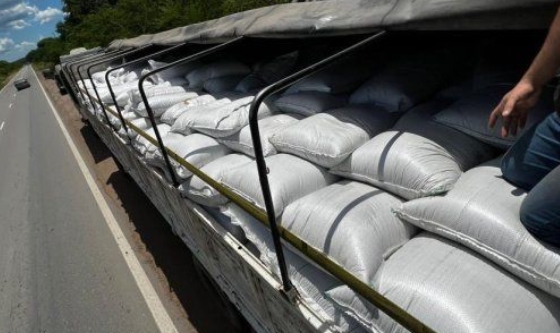 La Aduana desbarató contrabando de más de 90 toneladas de cereales por más de $5 millones