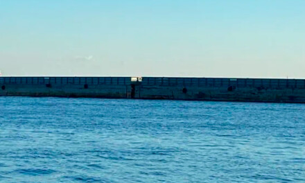 El moderno puerto de Posadas recibió a sus primeras barcazas
