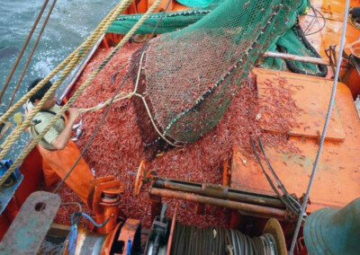 Fomentan procesamiento de productos pesqueros para alentar el trabajo en tierra