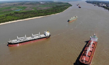 <strong>El río Paraná recuperará el caudal normal en marzo&nbsp;</strong>