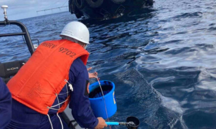Filipinas declaró el estado de calamidad por derrame de aceite de un carguero