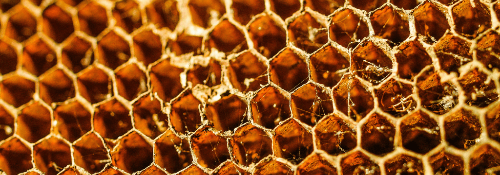 Denuncia penal y multa de $100 millones de la Aduana a una empresa exportadora de miel