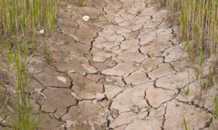 Uno por uno, los anuncios de Massa para los afectados por las sequías