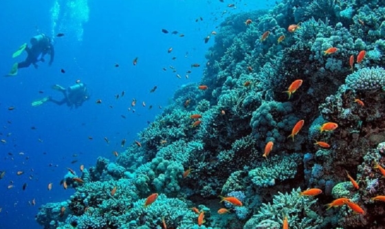 La OMI celebra el nuevo tratado para la protección de los océanos