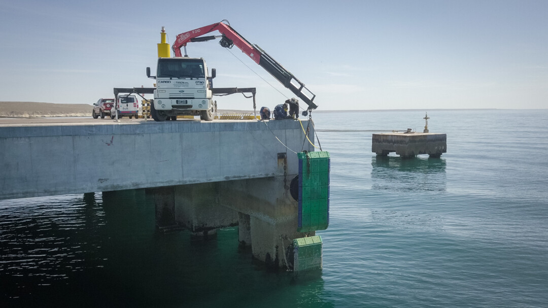 Avanzan las obras en los muelles de Puerto Madryn - GlobalPorts