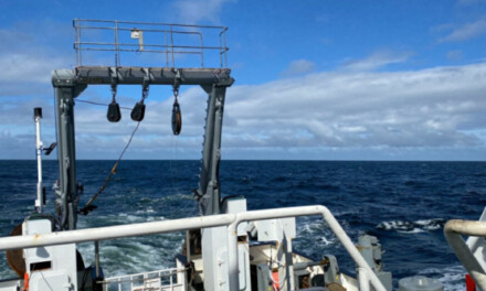 Comenzó una campaña de investigación en el área de veda de condrictios en la Zona Común de Pesca Argentino-Uruguaya