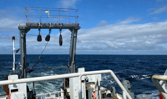 Comenzó una campaña de investigación en el área de veda de condrictios en la Zona Común de Pesca Argentino-Uruguaya
