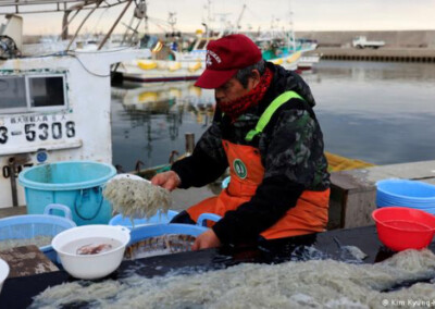 Los pescadores de Fukushima temen por su supervivencia