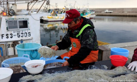 Los pescadores de Fukushima temen por su supervivencia