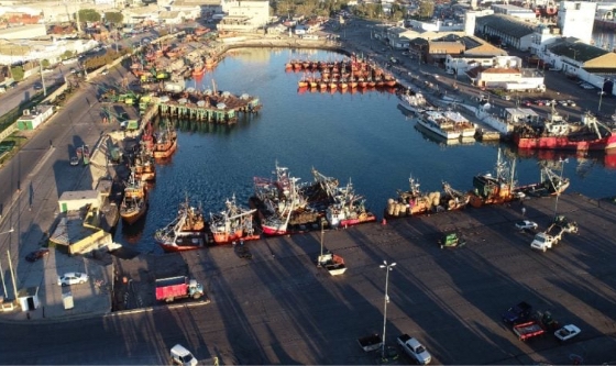 Puerto Mar del Plata:&nbsp;&nbsp;licitarán la “manzana de los circos” para el desarrollo de un proyecto turístico