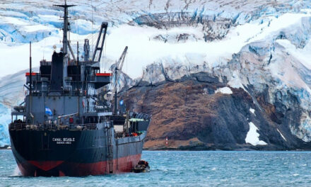 Arribó a Buenos Aires el transporte ARA “Canal Beagle”