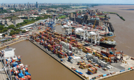 <strong>El Puerto de Buenos Aires incrementó sus cargas totales y el movimiento de contenedores</strong>