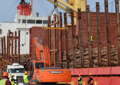 Cargan 35.000 toneladas de madera de pino en Entre Ríos con destino a India