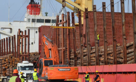 Cargan 35.000 toneladas de madera de pino en Entre Ríos con destino a India