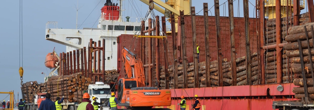 Cargan 35.000 toneladas de madera de pino en Entre Ríos con destino a India