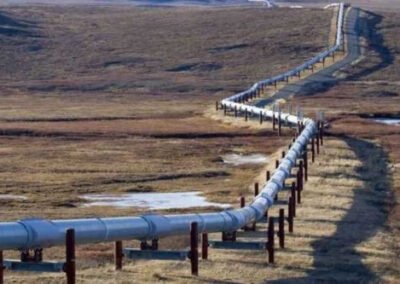 Reactivación del Oleoducto Trasandino impulsa las exportaciones de petróleo y fortalece el potencial de Vaca Muerta
