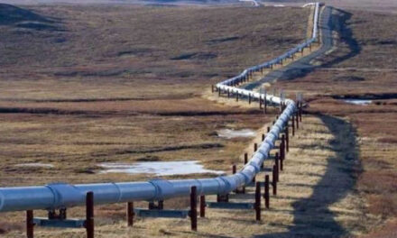 Reactivación del Oleoducto Trasandino impulsa las exportaciones de petróleo y fortalece el potencial de Vaca Muerta