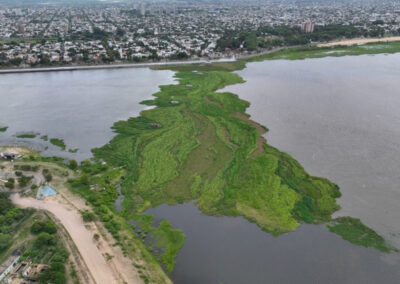 Por la bajante del río Paraná se ha formado un embalsado de casi 10 hectáreas en la Laguna Setúbal