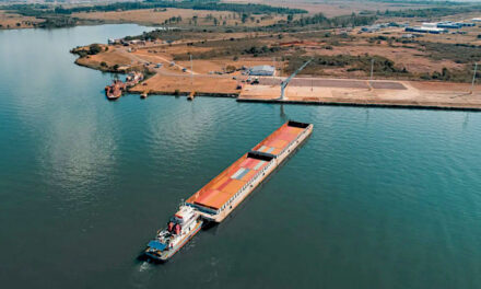 El Puerto de Posadas avanza en la construcción de un depósito fiscal 
