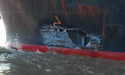 El remolcador Hércules XV  se soltó y chocó a un barco en San Lorenzo