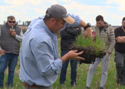 ¿Cómo la reserva de carbono en suelo argentino contribuye a mitigar el efecto invernadero?