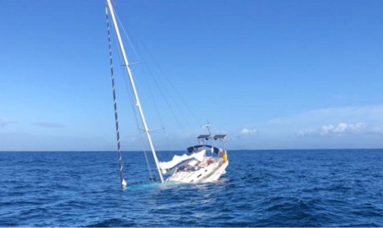 Tres orcas hunden un velero cerca de Gibraltar en el ataque más grave de los 20 registrados este año