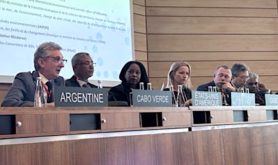 La ONU busca el primer tratado internacional para reducir contaminación por plástico