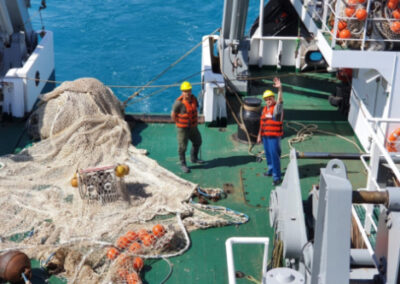Emergencia pesquera en el Golfo San Matías por sobreexplotación de la merluza