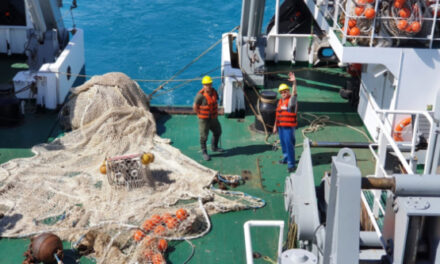 Emergencia pesquera en el Golfo San Matías por sobreexplotación de la merluza