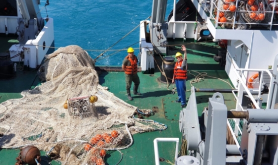 Emergencia pesquera en el Golfo San Matías por sobreexplotación de la merluza
